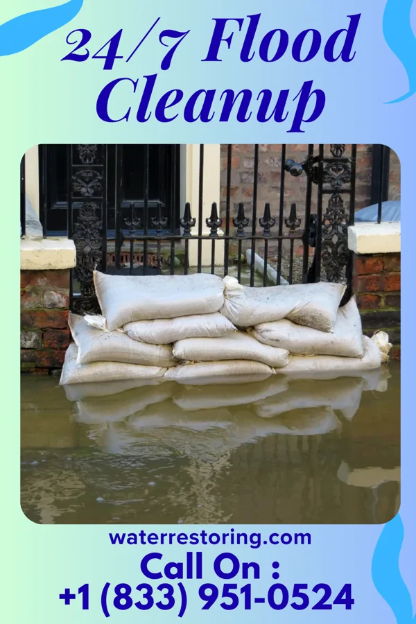 24/7 Flood Cleanup in South Weldon, NC