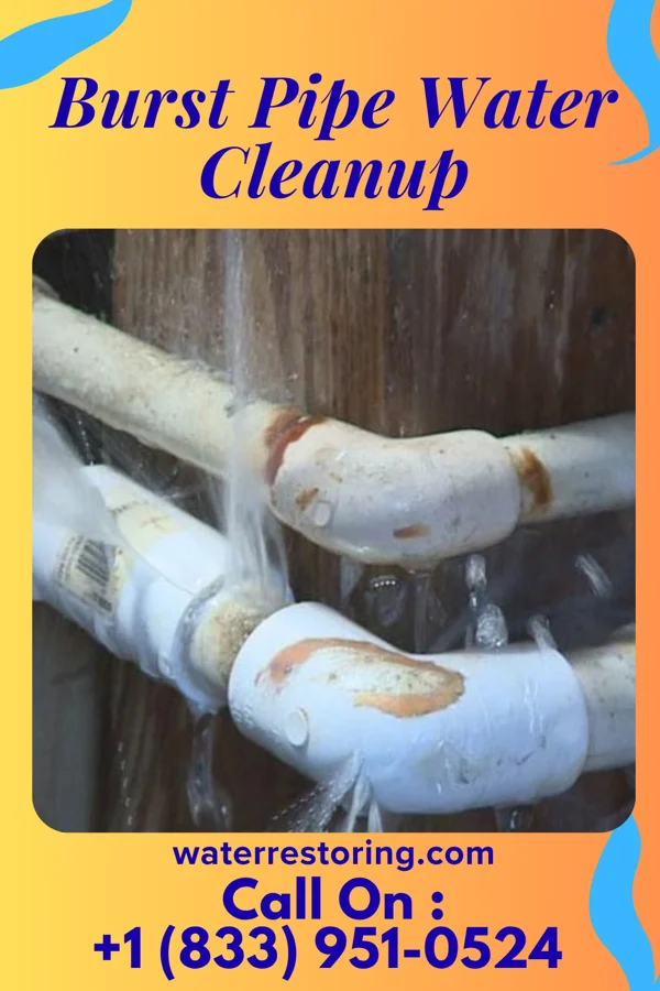 Burst Pipe Water Cleanup in South Weldon, NC