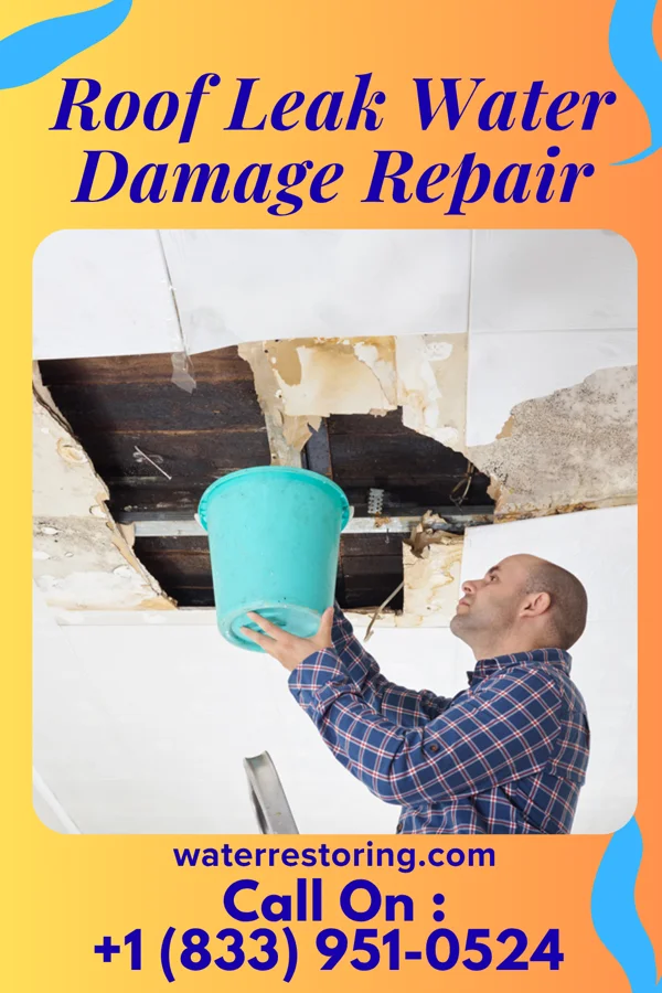 Roof Leak Water Damage Repair in South Weldon, NC