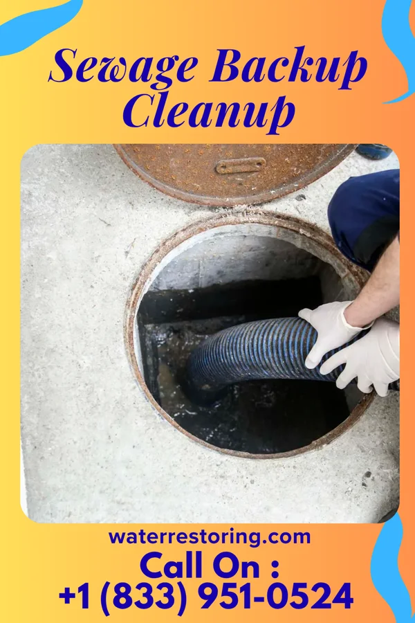Sewage Backup Cleanup in South Weldon, NC