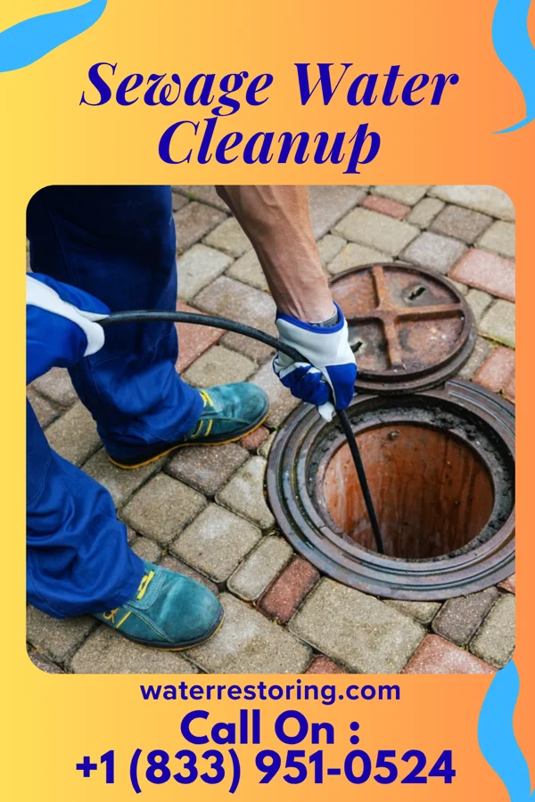 Sewage Water Cleanup in South Weldon, NC