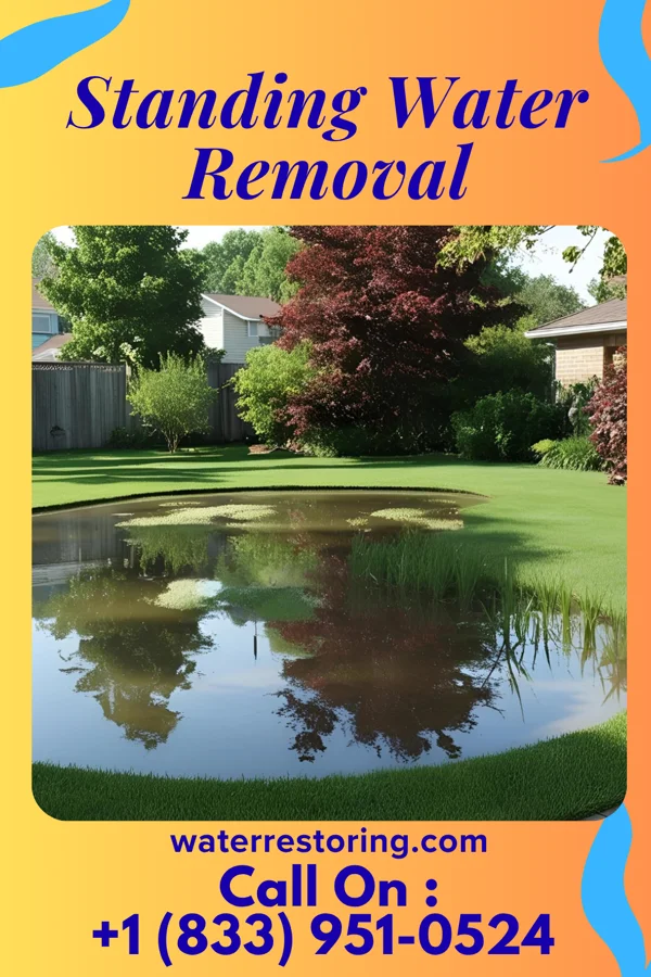 Standing Water Removal in South Weldon, NC